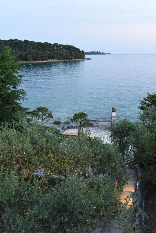 Buric House - M Suite - 95M2 And 54 M2 Terrace Rovinj Ngoại thất bức ảnh